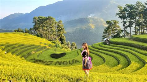 Tour Ha Noi Mu Cang Chai Treckking Days Nights Getyourguide