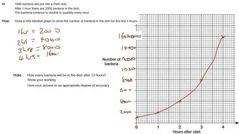 Gcse Maths Revision Exam Paper Practice Exponential Graphs Youtube