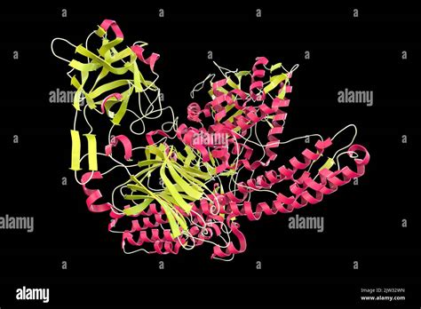 Molécula De Neurotoxina Tetánica Ilustración Se Trata De Una Proteína