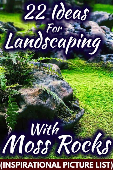 22 Ideas For Landscaping With Moss Rocks Inspirational Picture List