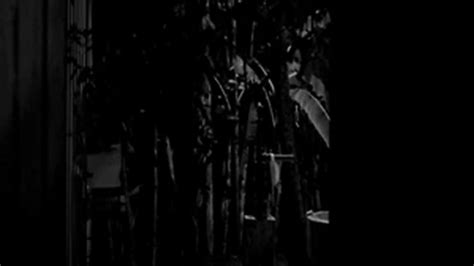 Mariana Nunes A Febre Do Rato Porn Videos