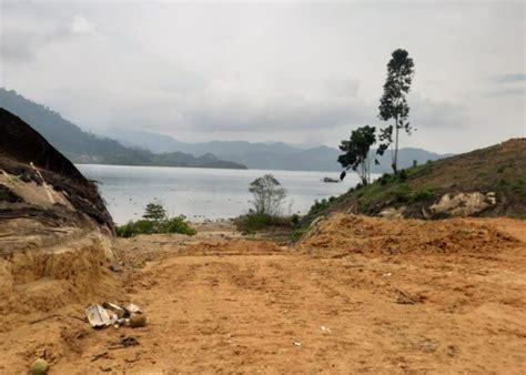 Dinilai Rusak Lingkungan Anggota DPRD Pesisir Selatan Minta