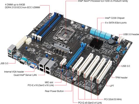 P10S-V/4L | Servers & Workstations | ASUS USA