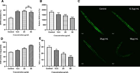 Gvo Increased The Antioxidant Capacity Of C Elegans A In Vitro