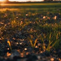 The Nelons Gospel Group Plane Crash