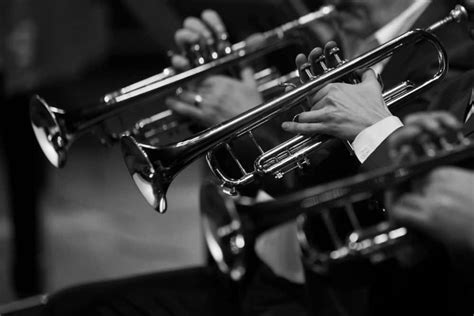 9 Different Types of Trumpets (Plus Interesting Facts)