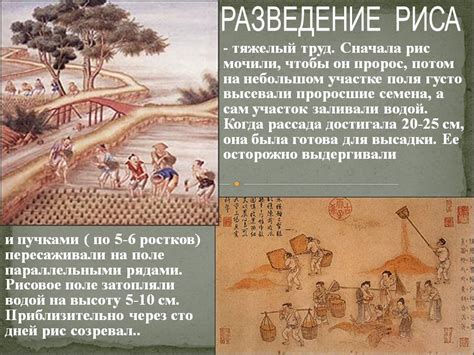 Конфуций