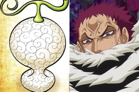 All Devil Fruit Designs In One Piece Officially With Pictures