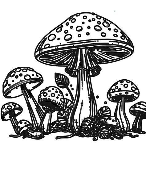 Mushroom Coloring Page 2 Notability Gallery