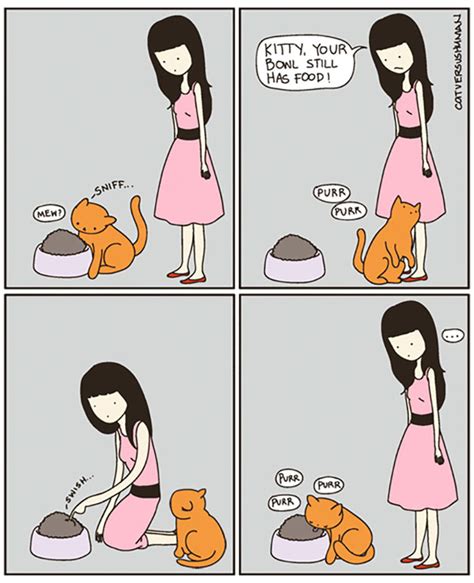 Cat Comics Cat Jokes Funny Cats Cartoon Cat Hot Sex Picture