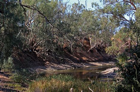 Thirst Turns To Anger As Australias Mighty River Runs Dry Malay Mail