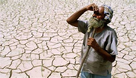 Six Farmers Commit Suicide In Vidarbha India News India TV