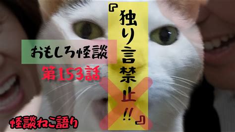 【おもしろ怪談】【猫が語る不思議な話】【猫動画】怪談ねこ語り 第153話『独り言禁止』 Youtube