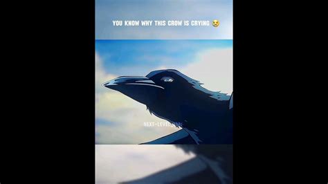 You Know Why This Crow Is Crying Comment Me Animeshortvideoviral