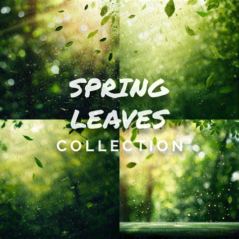 Spring Leaves Backgrounds Collection