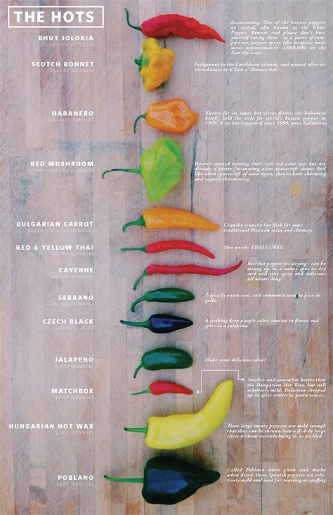 Types Of Chili Peppers Chart