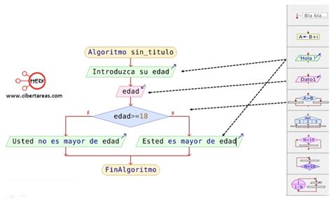 Pasos Para Elaborar Un Diagrama De Flujo En Pseint Programaci N