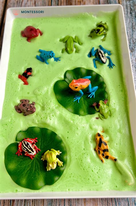 Taste-Safe Sensory Aquafaba Foam Frog Pond Play Tray | Montessori From