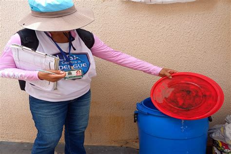 São Carlos registrou 726 casos positivos de dengue em 2023 São Carlos