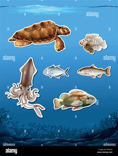 Set of different animals in ocean illustration Stock Vector Image & Art ...