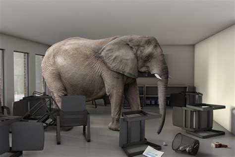 Iggy Azalea OnlyFans: Addressing the Elephant in the Room - rw9avx6
