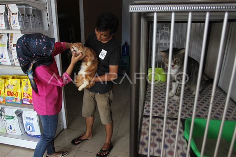 JASA PENITIPAN HEWAN PELIHARAAN ANTARA Foto