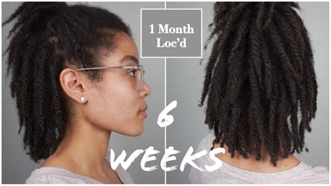 6 Week Locs 360 Visual Pictures Two Strand Twist Starter Locs