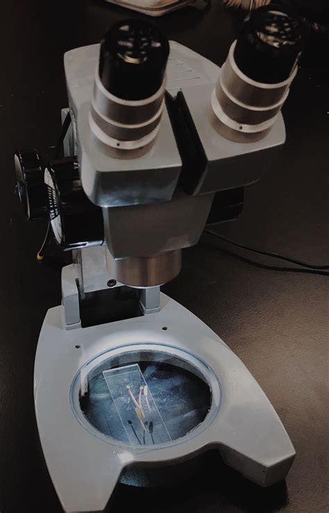 Курс Цитология – купить онлайн