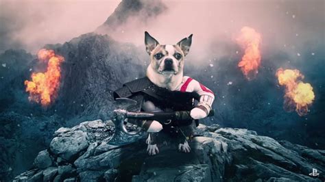 Dog of War: Vean este divertido comercial de God of War con perros