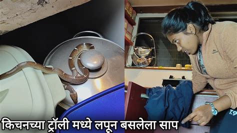 😱किचनमध्ये भांड्याच्या ट्रॉलीमद्ये लपून बसलेला हा साप मित्रांनो 🐍 Youtube