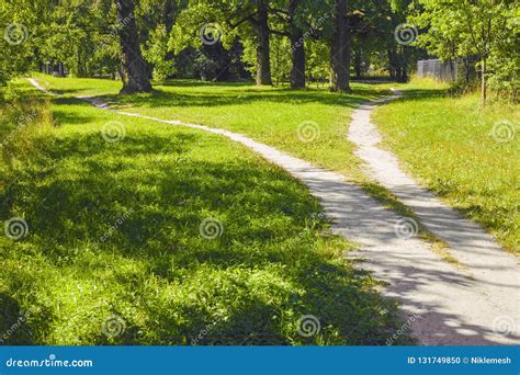 Two Paths Royalty Free Stock Photography 60747041