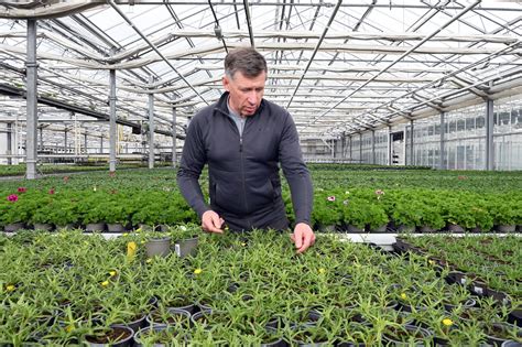 Des Plantes R Sistantes La Chaleur Et Moins Gourmandes En Eau Les