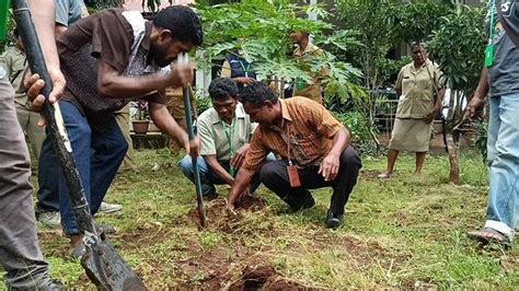 Gandeng Komisi Iv Dpr Ri Kementan Gaungkan Genta Organik Di Timor