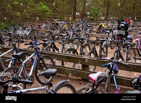 Bikes In Special Bike Park Centerparcs Sherwood Forest Stock Photo