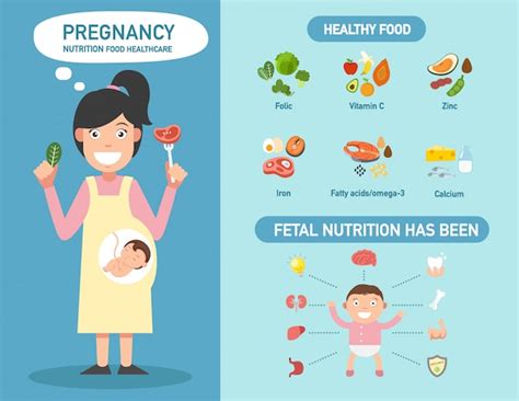 Premium Vector Pregnancy Nutrition Food Healthcare Infographics