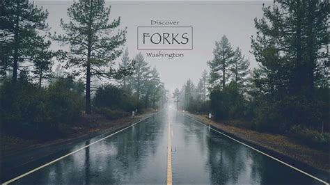 Forks Washington Twilight Forest Hd Wallpaper Pxfuel