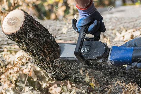 De Mens Snijdt Boomstam Met Een Elektrische Zaag Stock Foto Image Of