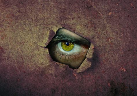 60,000+ Free Eyes Horror & Eye Images - Pixabay