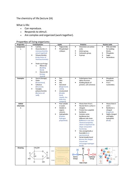 Summary Dna Rna Lecture The Chemistry Of Life Lecture A What Is