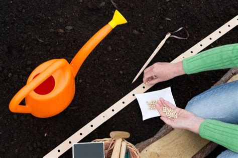 Gardening Sowing Woman Sowing Seeds Into The Soil — Stock Photo