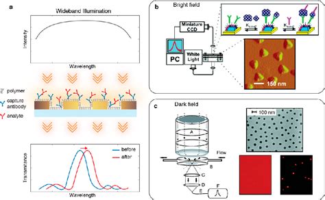 Figure From Optical Interrogation Techniques For Nanophotonic