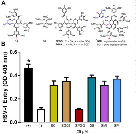 Figure From A Synthetic Glycosaminoglycan Mimetic Blocks Hsv