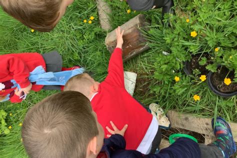 Minibeast Hunt Broadbent Fold Nursery And Primary School