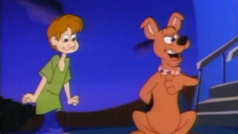 Szczeniak Zwany Scooby Doo Sezon Drugi Rumianek Cda Pl