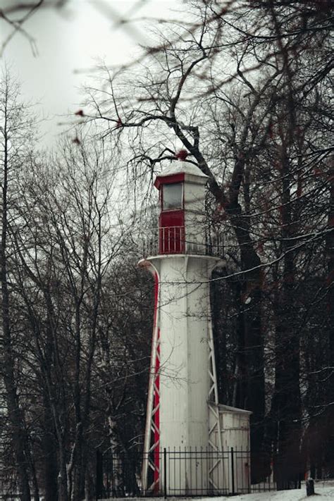 A Lighthouse among Trees in Winter · Free Stock Photo