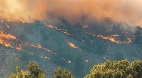 Conafor Registra 129 Incendios Forestales Activos En El País El Sol