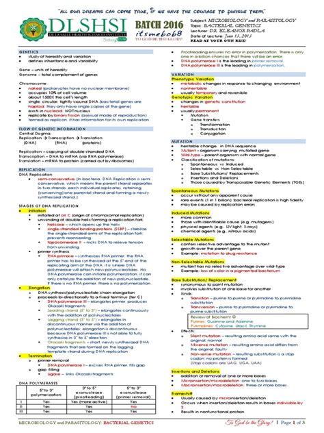 Bacterial Genetics | PDF | Plasmid | Dna Replication 