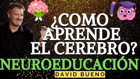 Como Aprende El Cerbero Neuroeducaci N Neurociencia Dr David