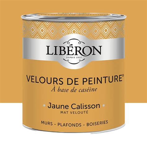 Peinture Lib Ron Velours De Peinture Jaune Calisson Pas Cher