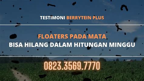 Obat Mata Floaters Berrytein Plus Youtube